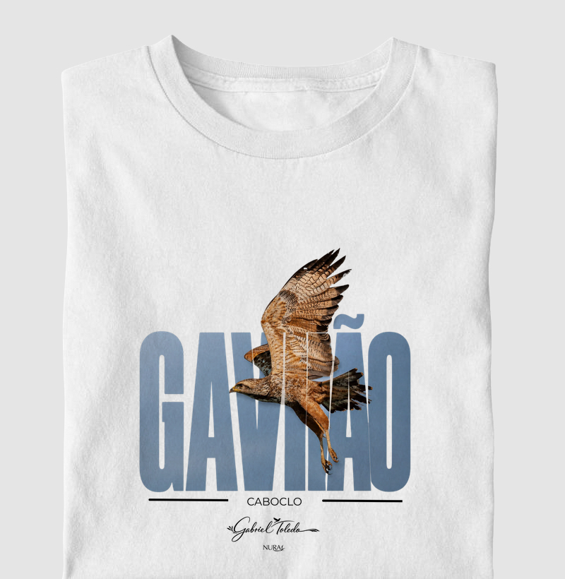 Gavião Caboclo