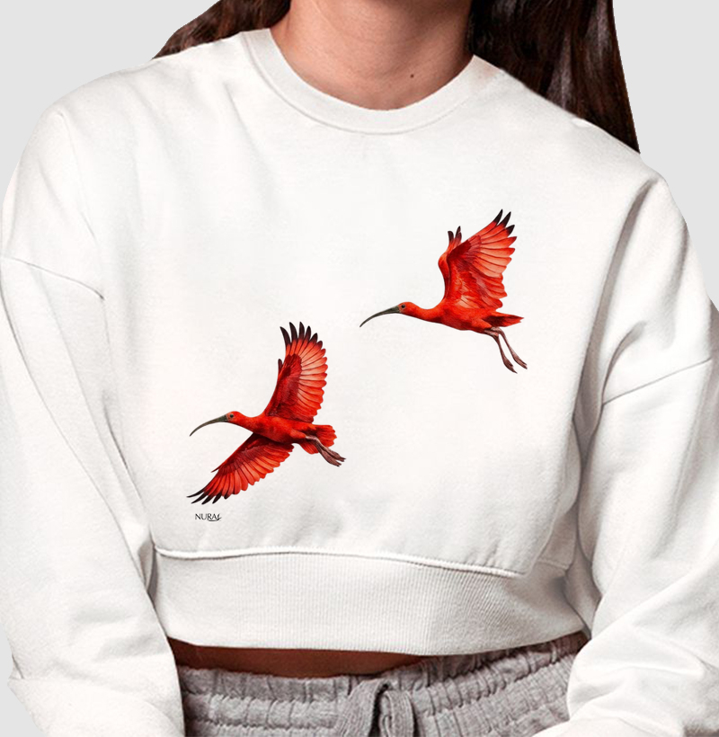 Sinfonia dos Guarás