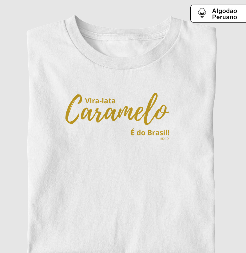 Vira-lata caramelo