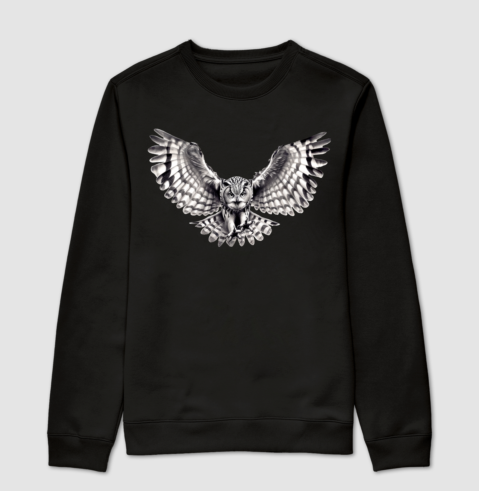 Coruja - Sábio silêncio