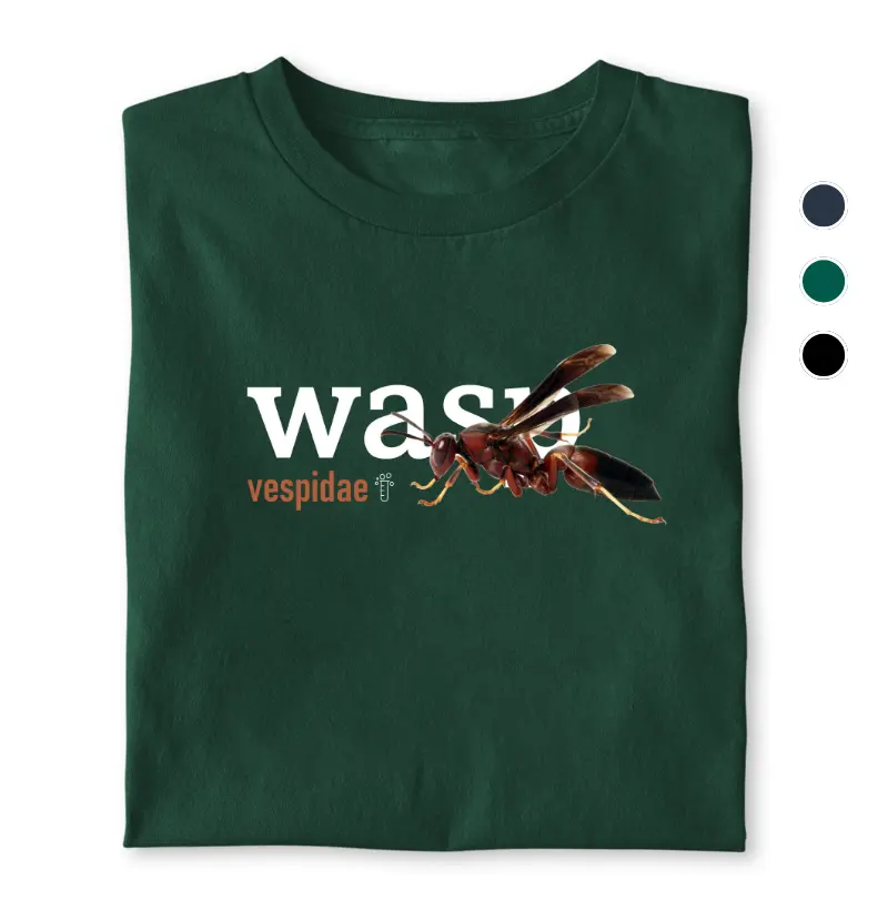 Wasp