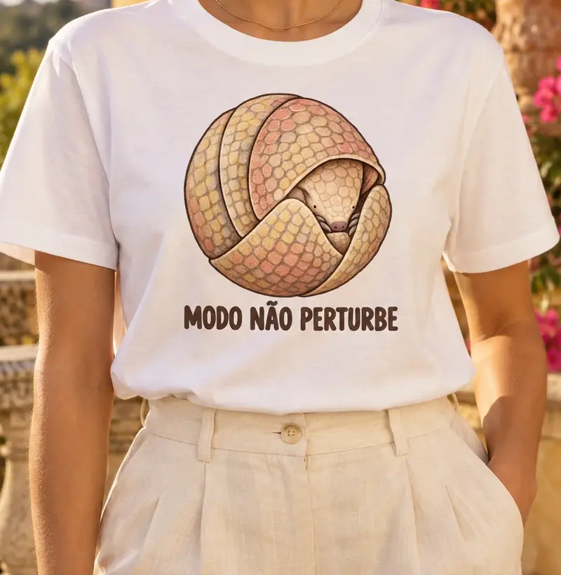 Modo Não Perturbe
