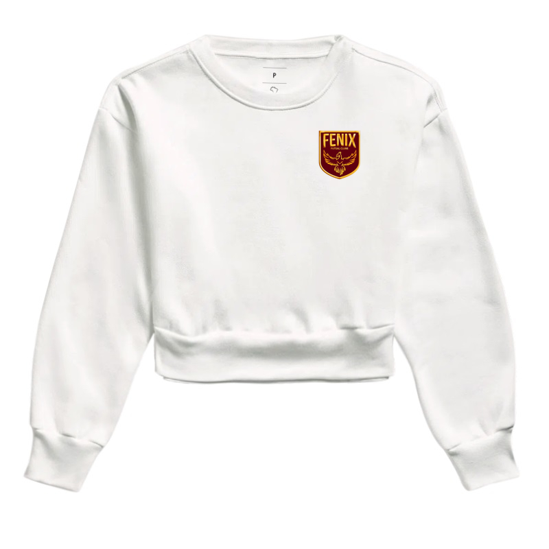 fênix futebol clube