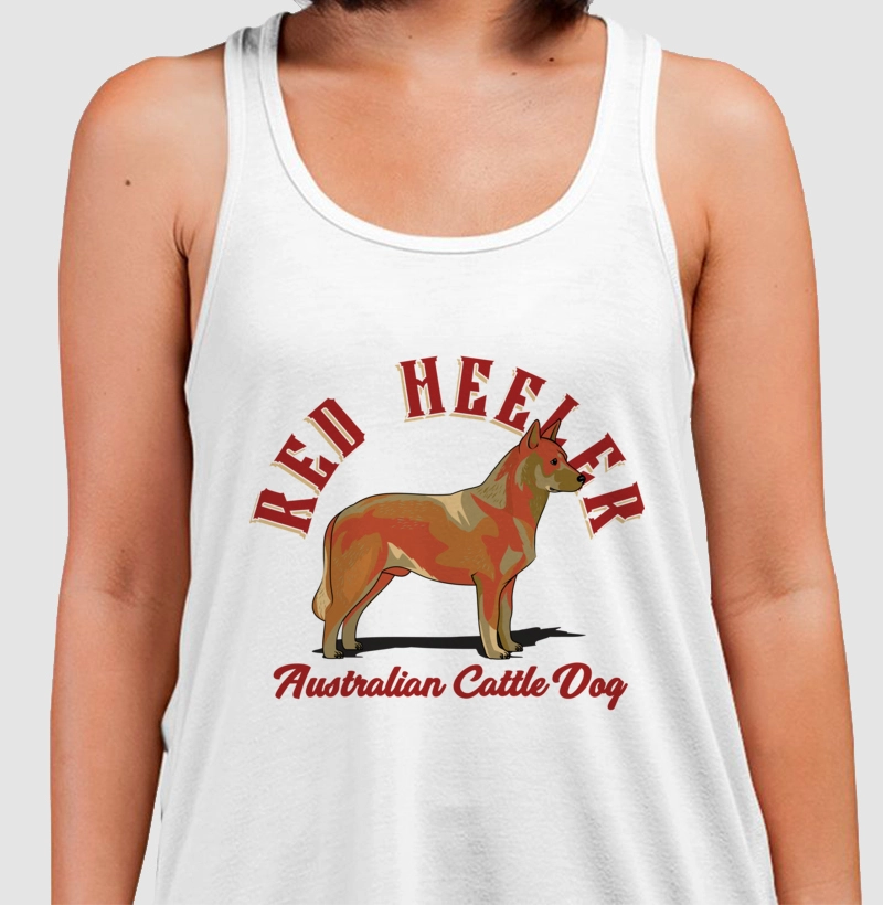 Australian Cattle Dog Red