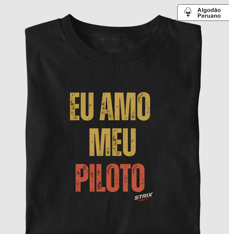 Em Amo Meu Piloto