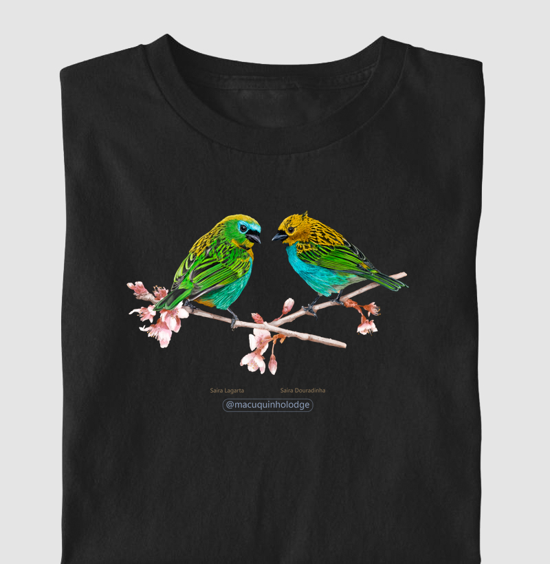 Colab Rev&Mac - Saíras Lagarta e Douradinha