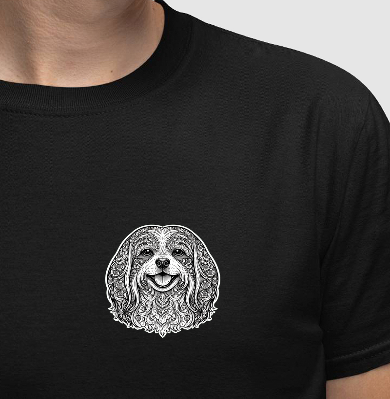 Lhasa Apso - Paisley