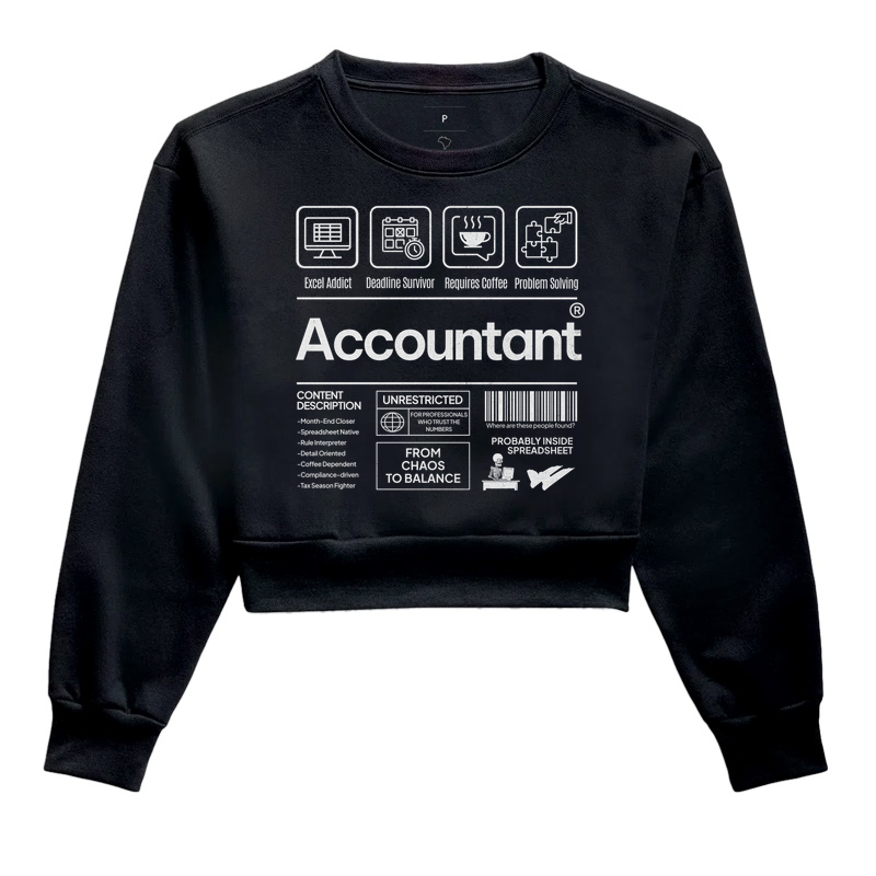 Accountant Description