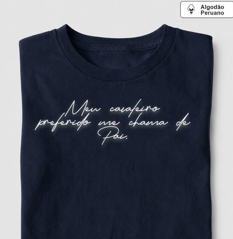 Meu cavaleiro preferido 