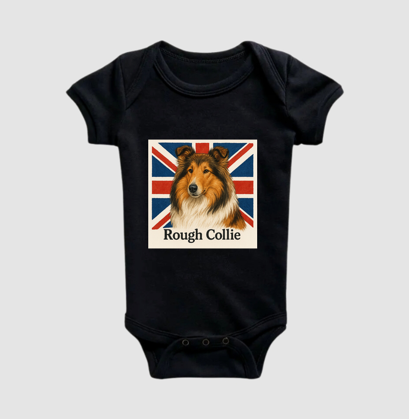 Rough Collie 02