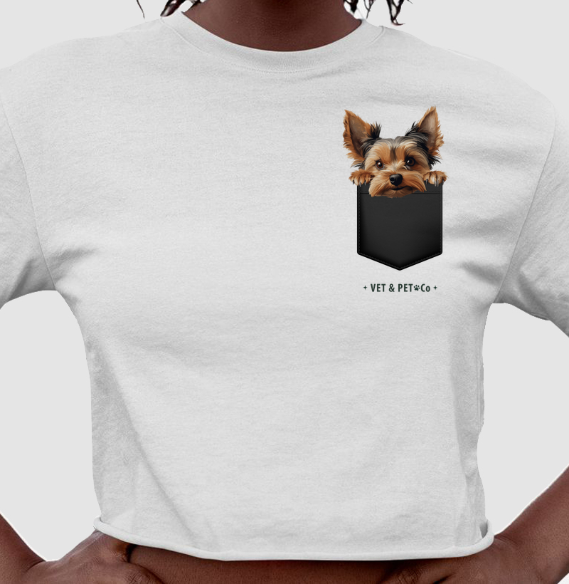 Cachorro de bolso (Yorkshire Terrier)