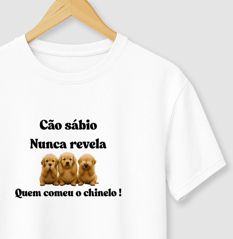 Cão sábio nunca revela quem comeu o chinelo!