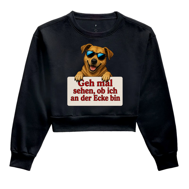 Cachorro Sarcástico