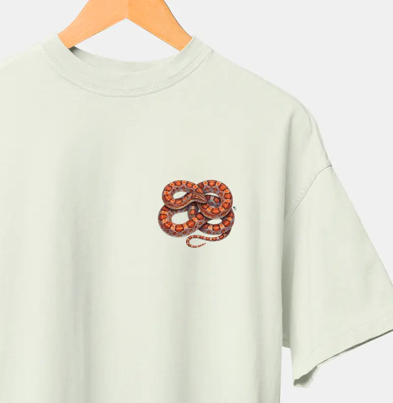 Répteis - Mini - Jibóia-arco-íris da Caatinga - Oversized - Camiseta Oversized