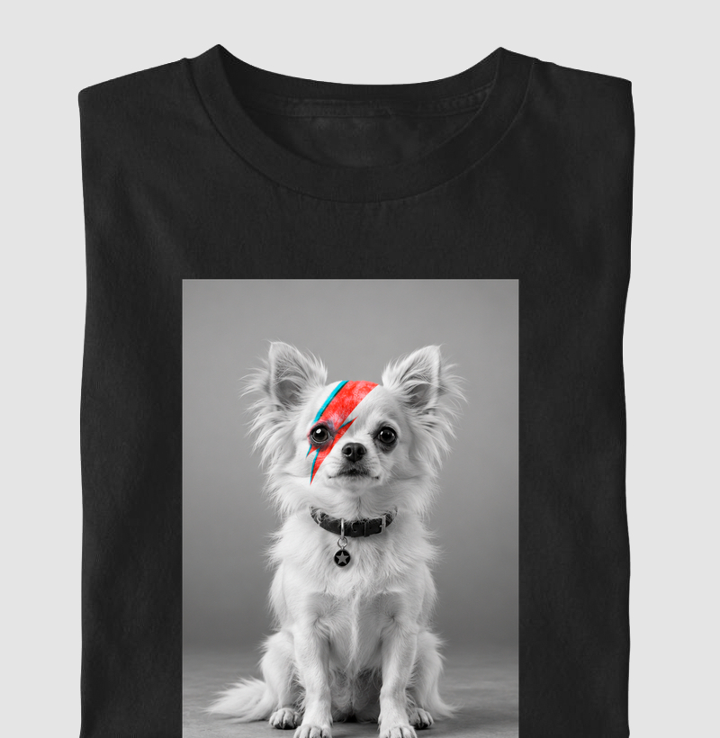 Glam Rock Chihuahua ⚡