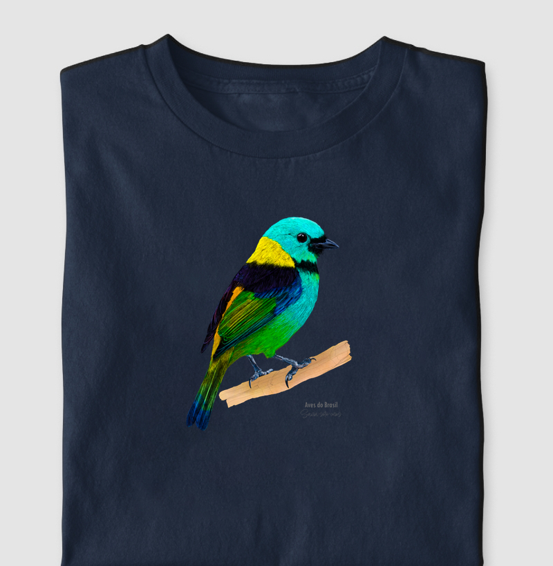 Aves do Brasil- Saíra-sete-cores