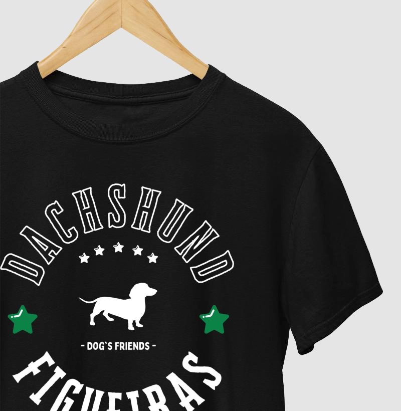 DOG Dachshund Figueiras