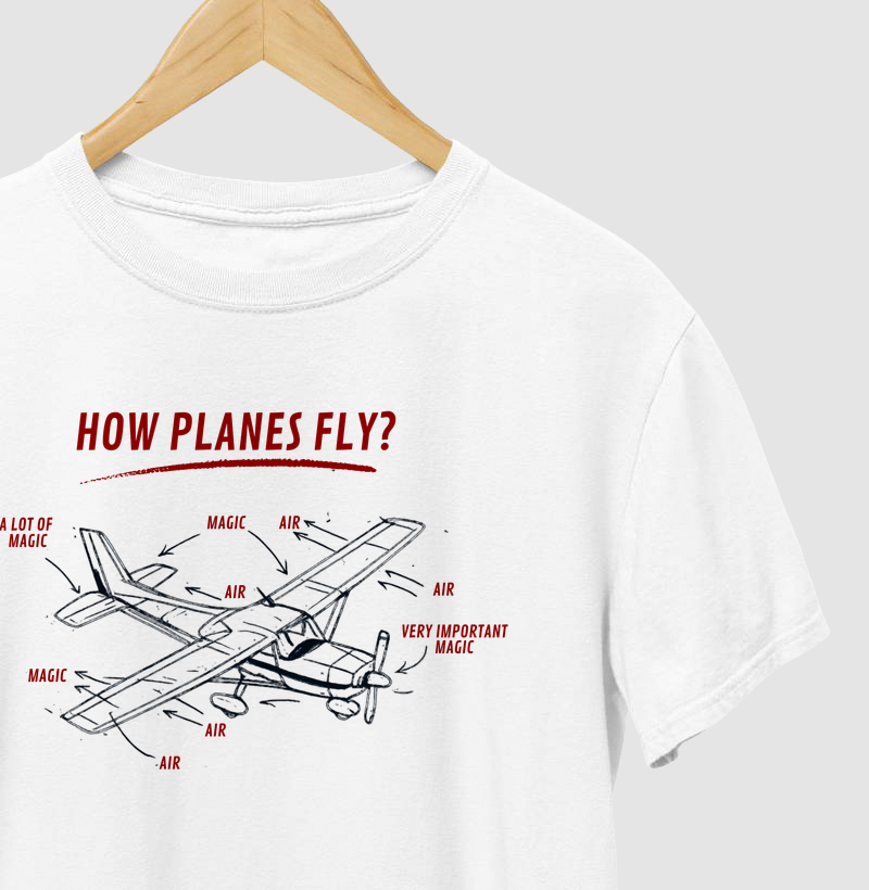 How Planes Fly?