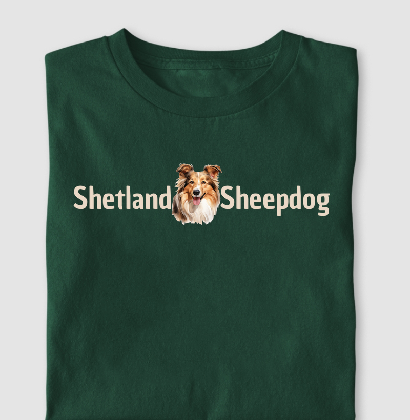 Shetland Sheepdog