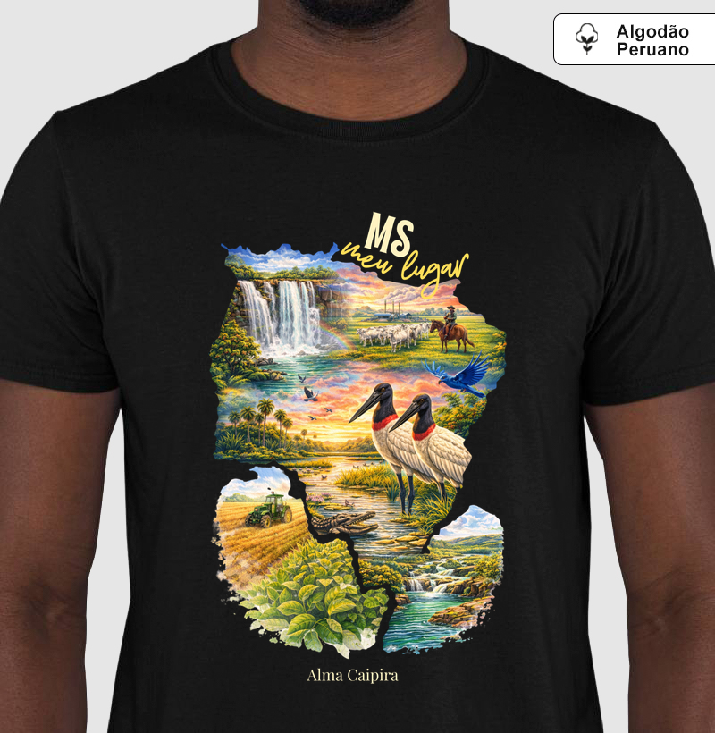 MS meu lugar_2