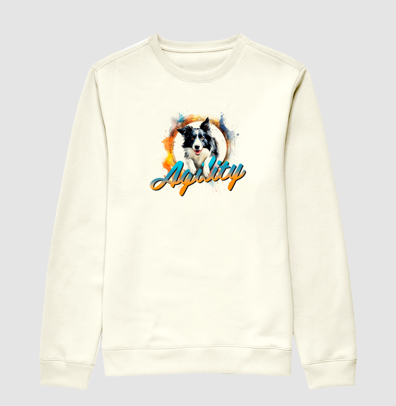 Border Collie Agility