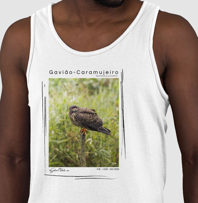 Gavião-Caramujeiro