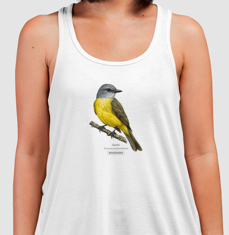 Traços Alados - Suiriri - Regata