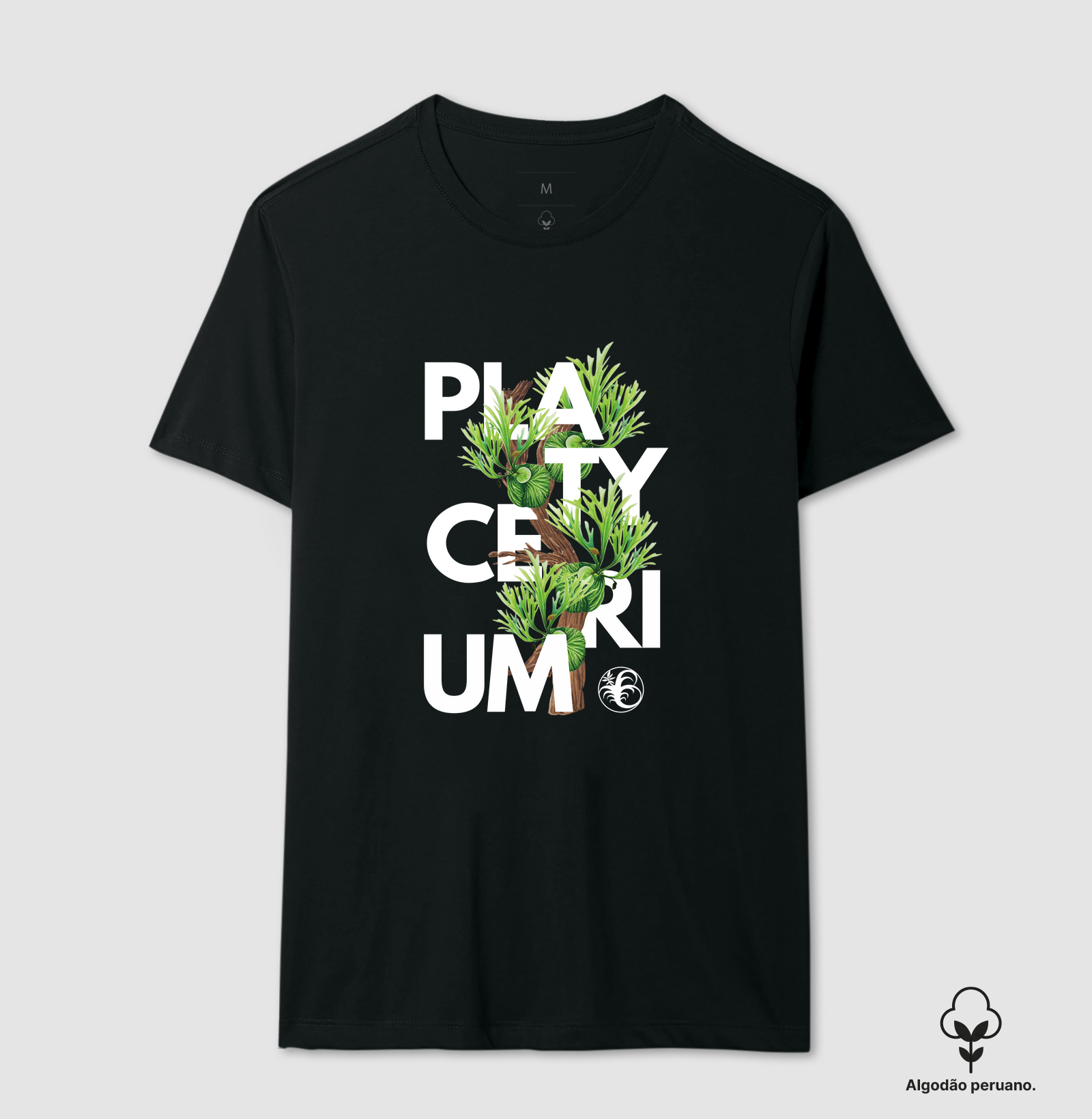 PLATYCERIUM MONTAGEM