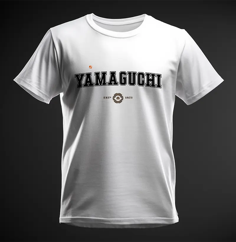 Província de Yamaguchi