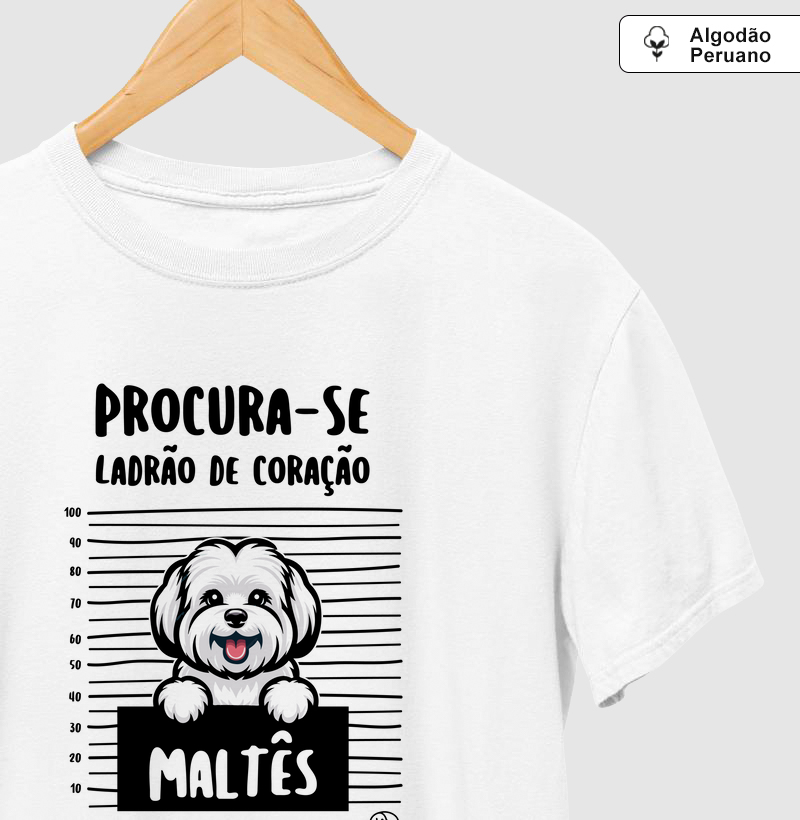 Maltês Ladrão de Coração