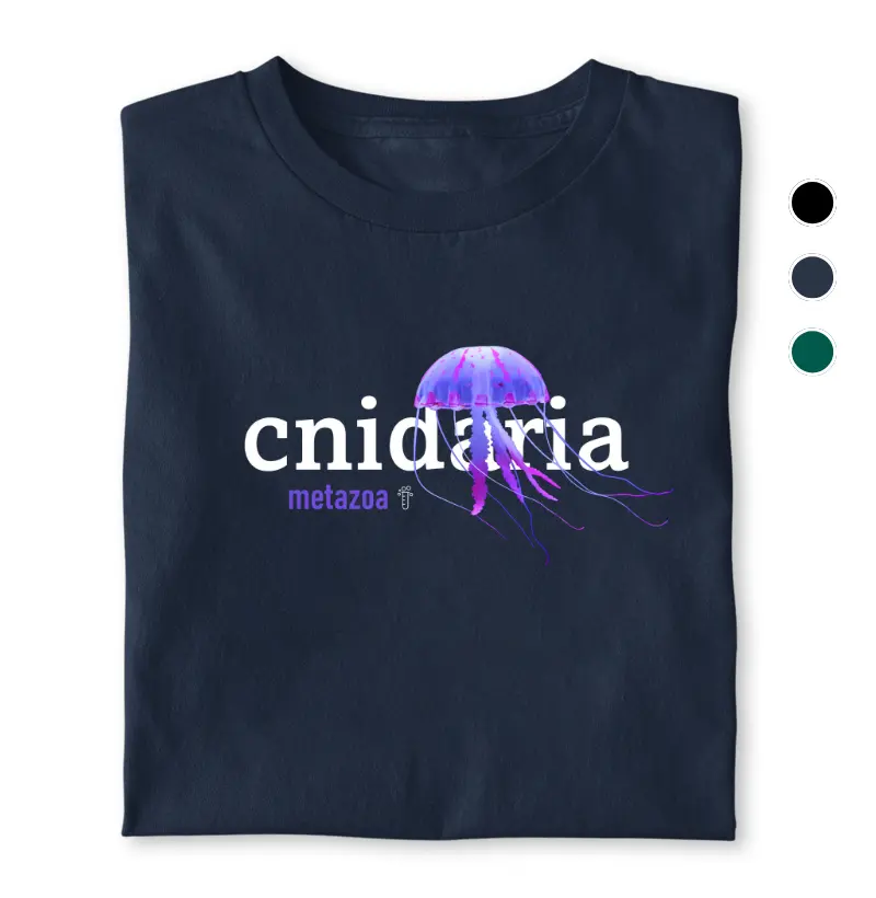 Cnidaria