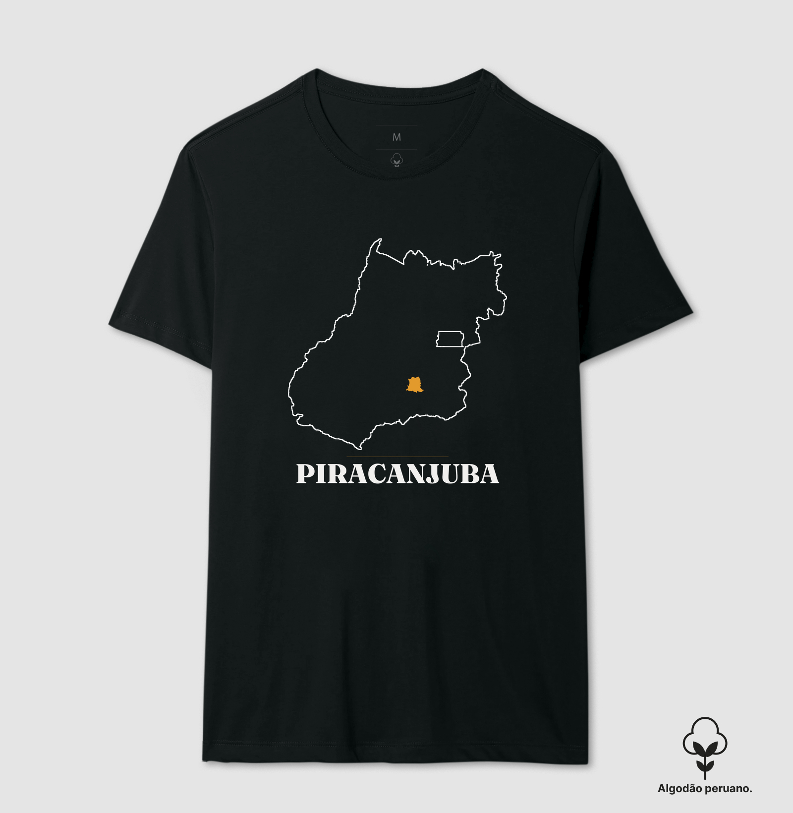 Piracanjuba | Traço GO