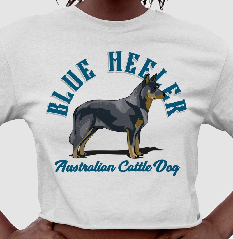 Australian Cattle Dog Blue