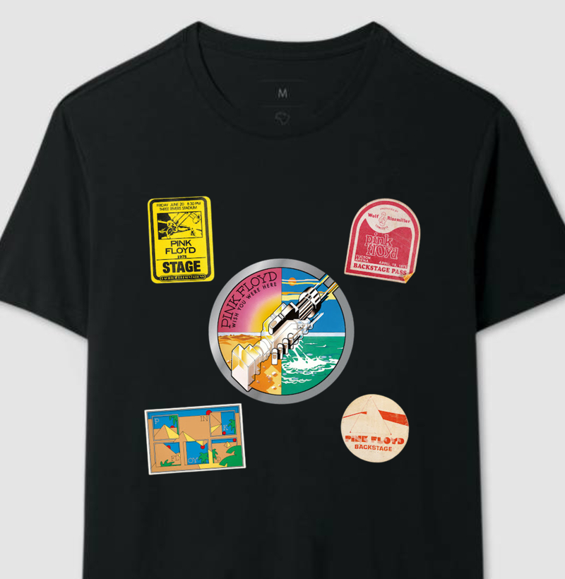 Pink Floyd - Shine On You Crazy Diamond