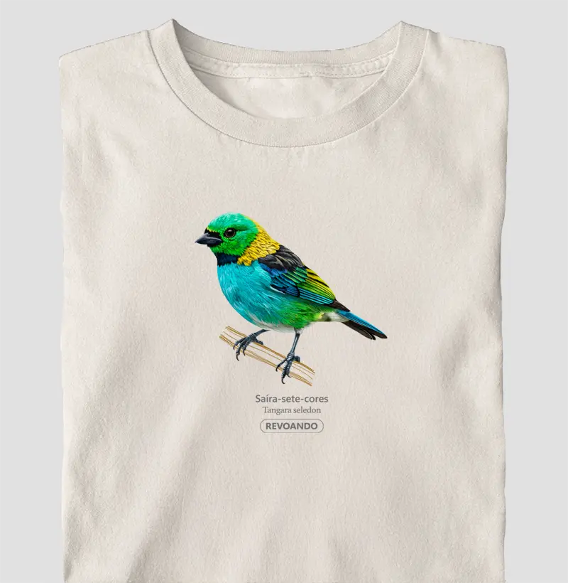 Cores Aladas - Saíra-sete-cores II - Oversized