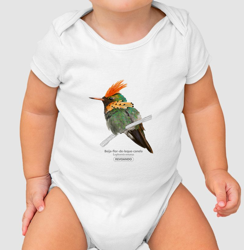 Aves do Brasil - Beija-flor-de-leque-canela - Body Infantil