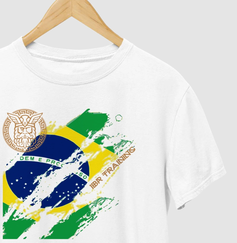 Bandeira do Brasil 1BR