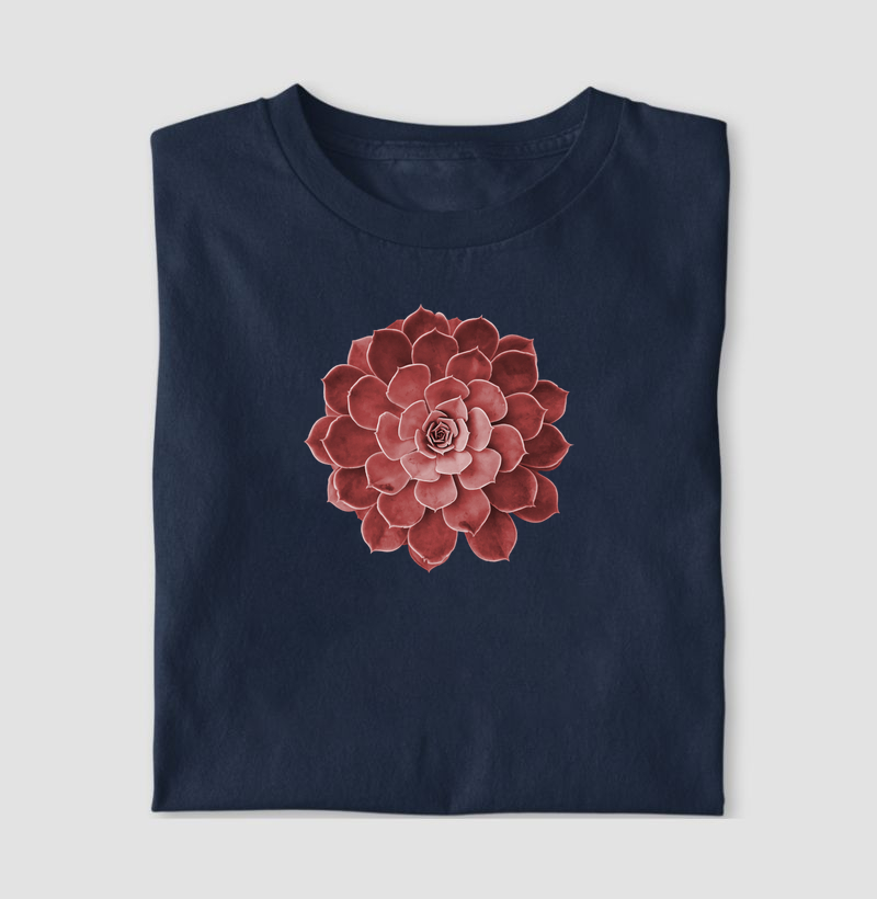 Suculenta rosa