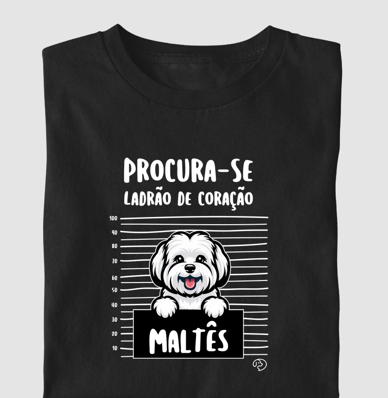 Maltês Ladrão de Coração