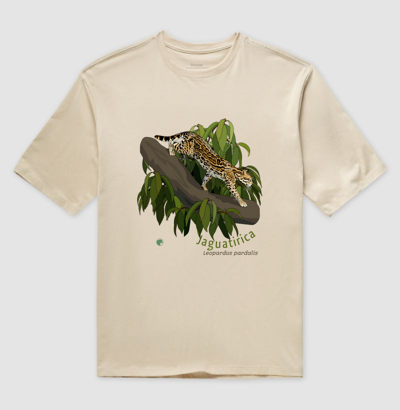 Oversized jaguatirica