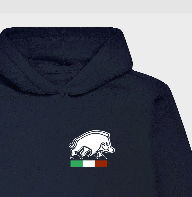 Porco Romano (Desc. abaixo no PIX)