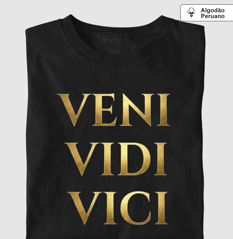 VENI VIDI VICI