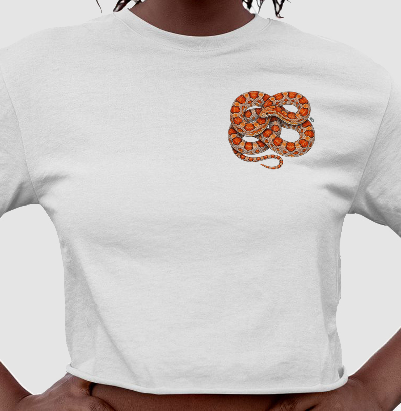 Répteis - Mini - Corn Snake - Cropped - Cropped