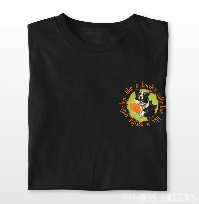 Live Like a Border Collie