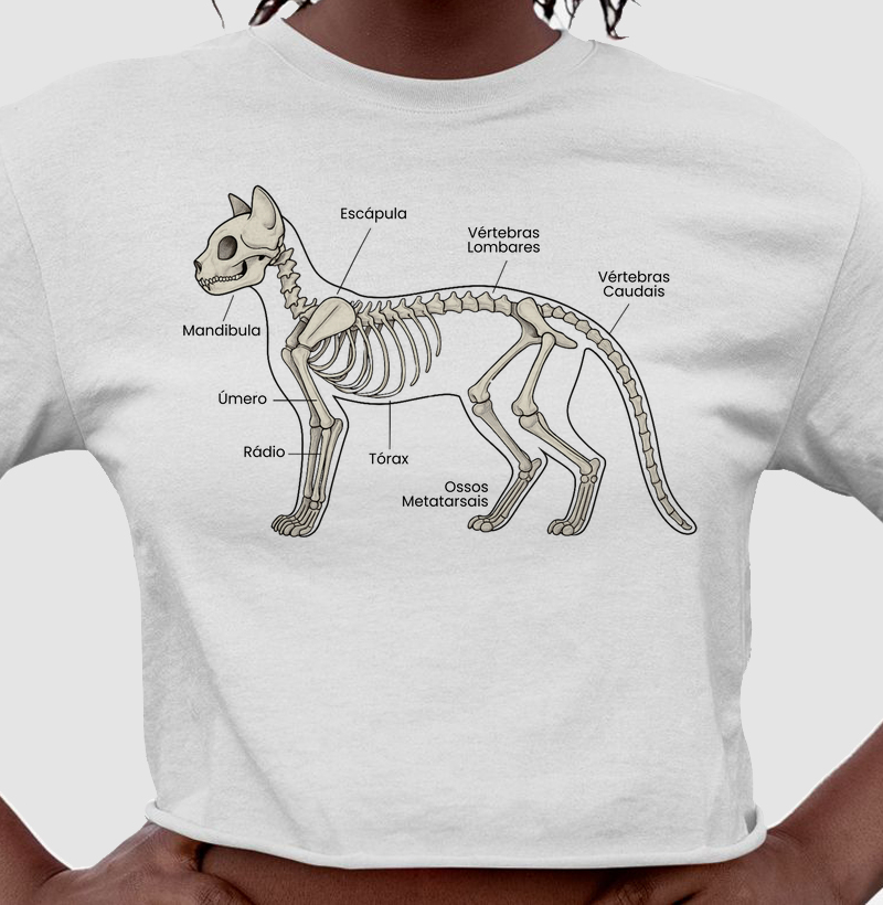 Gatinho Esqueleto (Cropped)