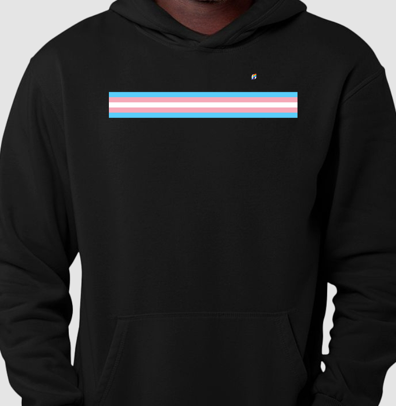 Bandeira Trans