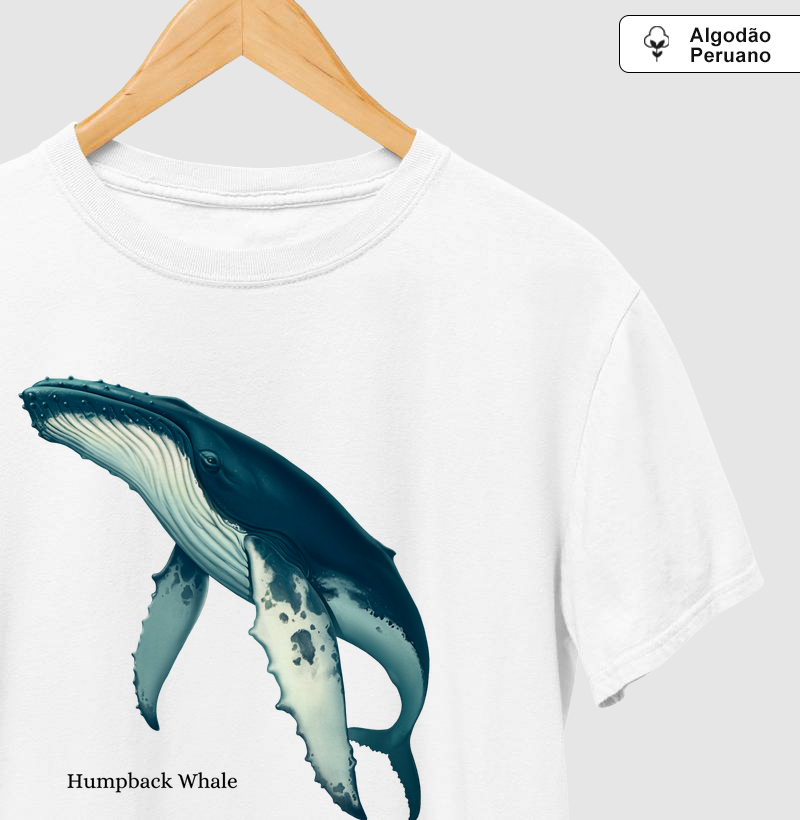 Humpback Whale