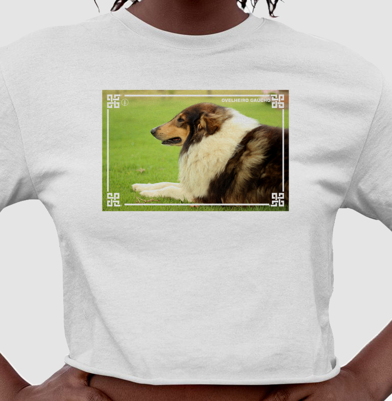 Ovelheiro Gaúcho - Color 2