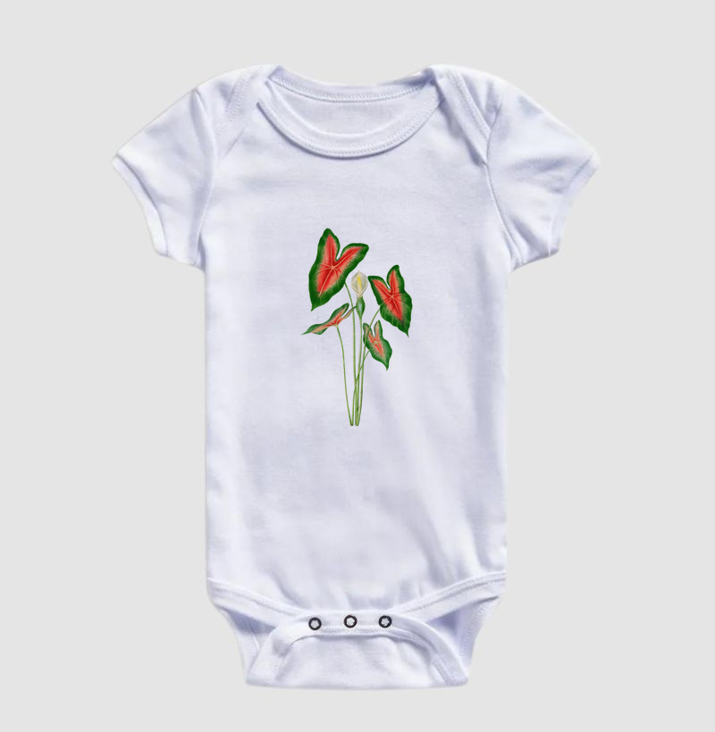 Caladium