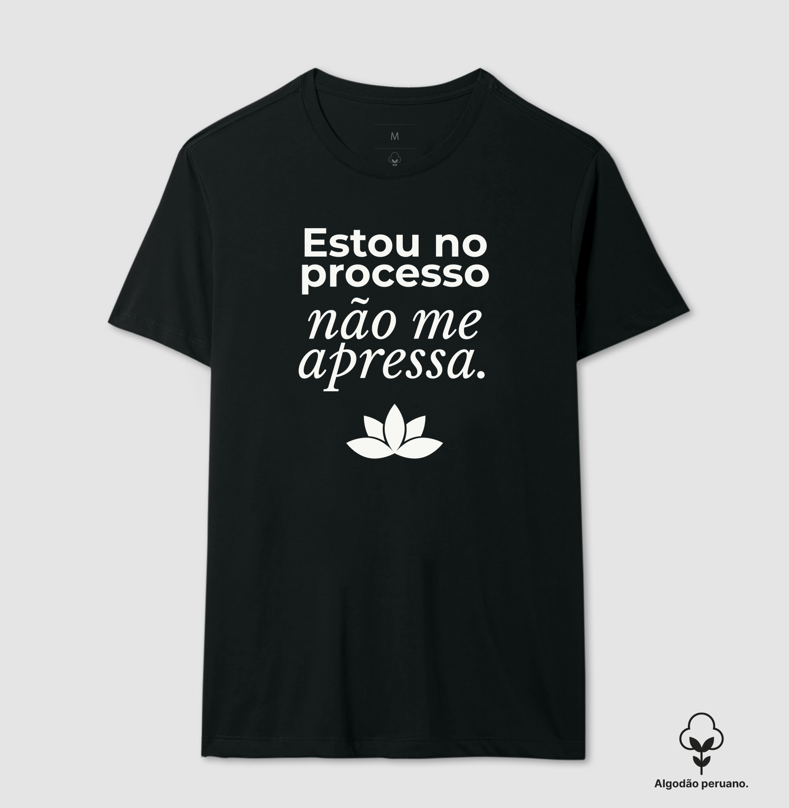 Estou no Processo Não me Apressa
